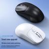 Thunderwolf Q3 Dual Mode Bluetooth Wireless Mouse