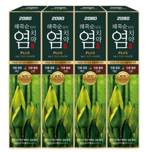2080 Зубная паста Sea Bamboo Shoot Salt Plus 120г, 4 шт. Корейская зубная паста