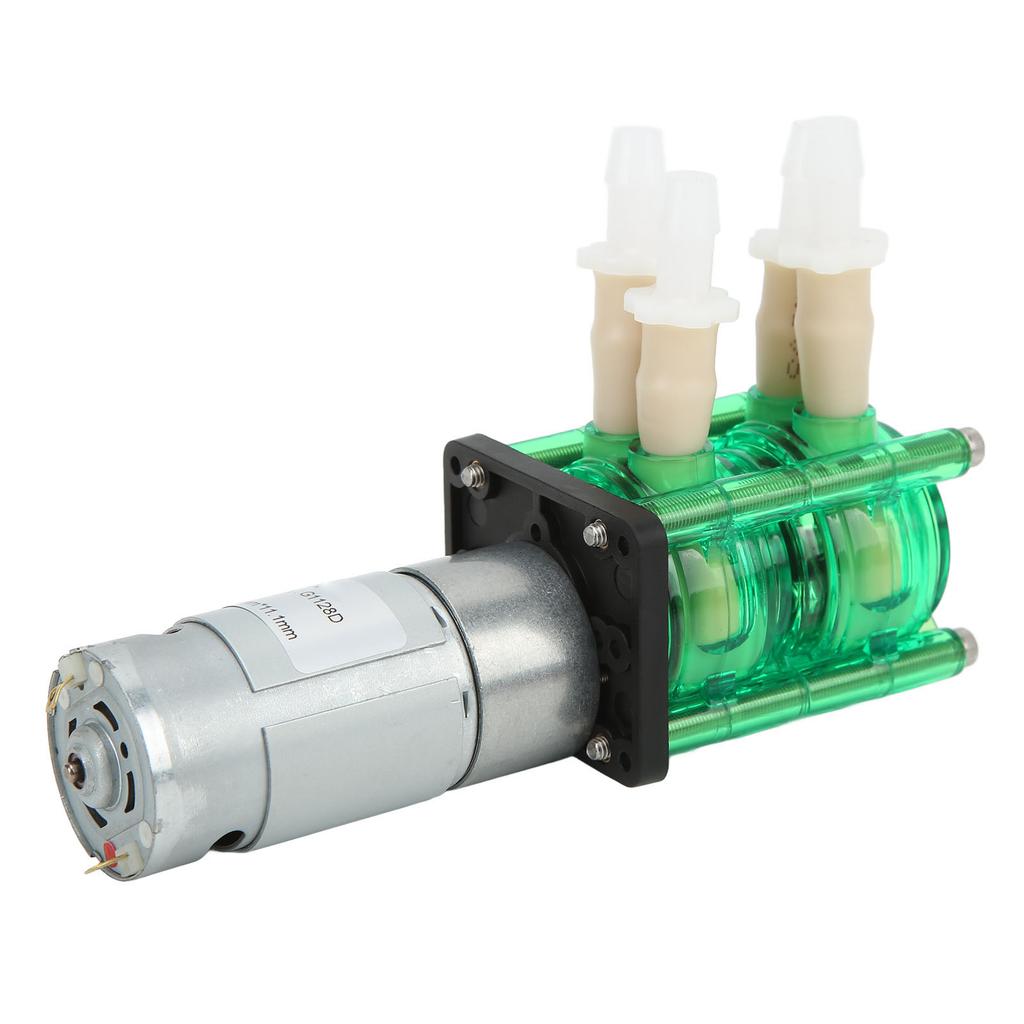 Dual Head High Flow Corrosion Resistant Peristaltic Pump Liquid Dosing Pump with BPT Tube 700ml/min