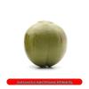 Coconut Tree Tropical Fruit Decoration for Photography