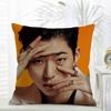 Korea Kpop ZZICO Cushion Cover Daily Washable Linen Pillowcase Soft  for Sofa Bed Home Room Decor