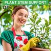 Подставка для стебля растения Монстера Стабилизатор для растений Металлическая опора для стебля растения Стабилизатор для комнатных растений Цветы в горшках Вертикальный рост