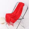 Autumn and Winter Multiple Solid Color Imitation Cashmere Scarves for Women, Single Color Thickened Warm Tassel Shawl Scarf, Scarf In Red