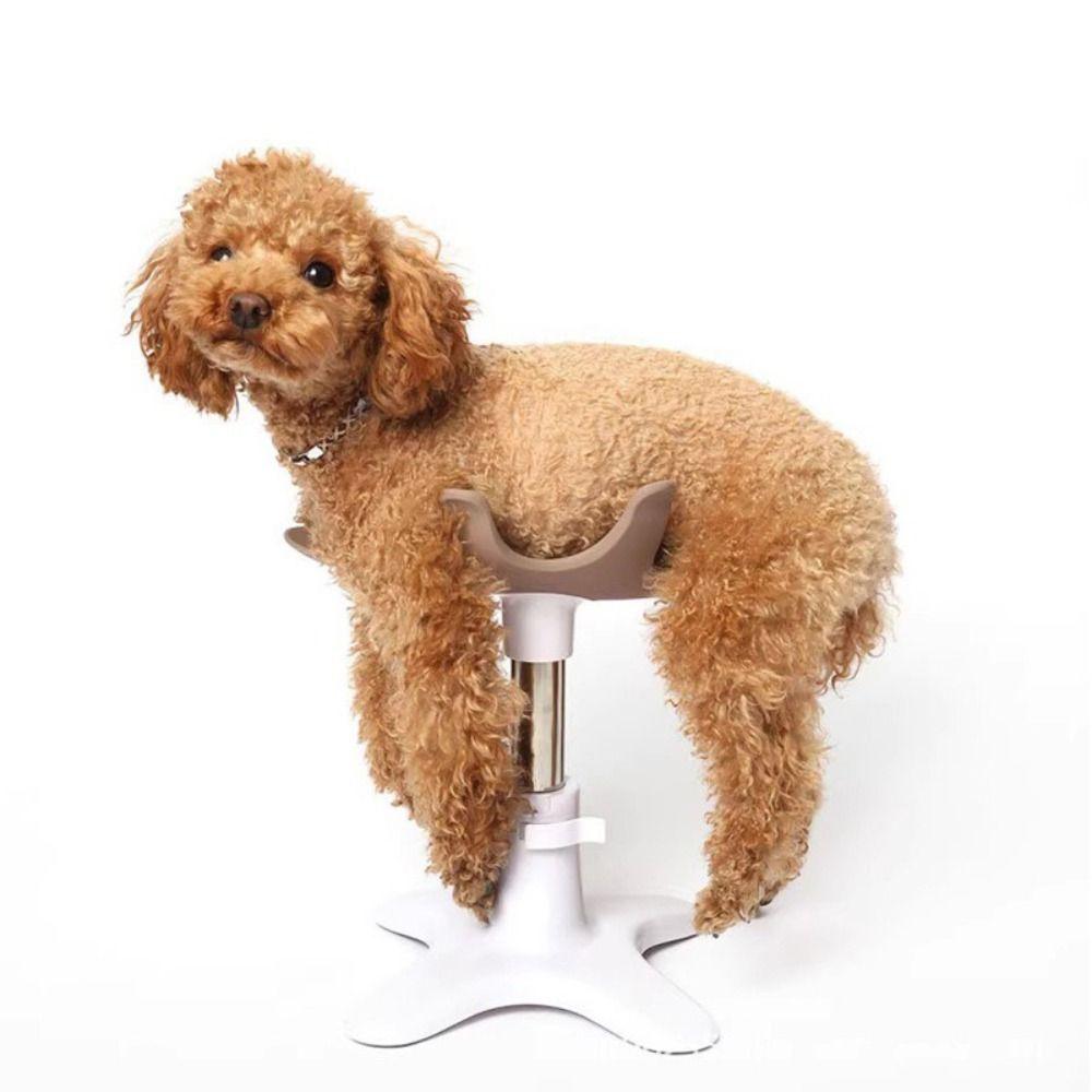 Красота для груминга собак Фиксированная основа стола Съемный металлический фиксатор для купания домашних животных Регулируемый Универсальный стол для фиксации животных во время груминга