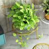 1/3 Pcs Flowerpot Stand Hollow Out Stable Anti-skid Max Load Bearing Wide Platform Metal Plant Holder Round Flower Pot Support Outdoor Balcony Garden