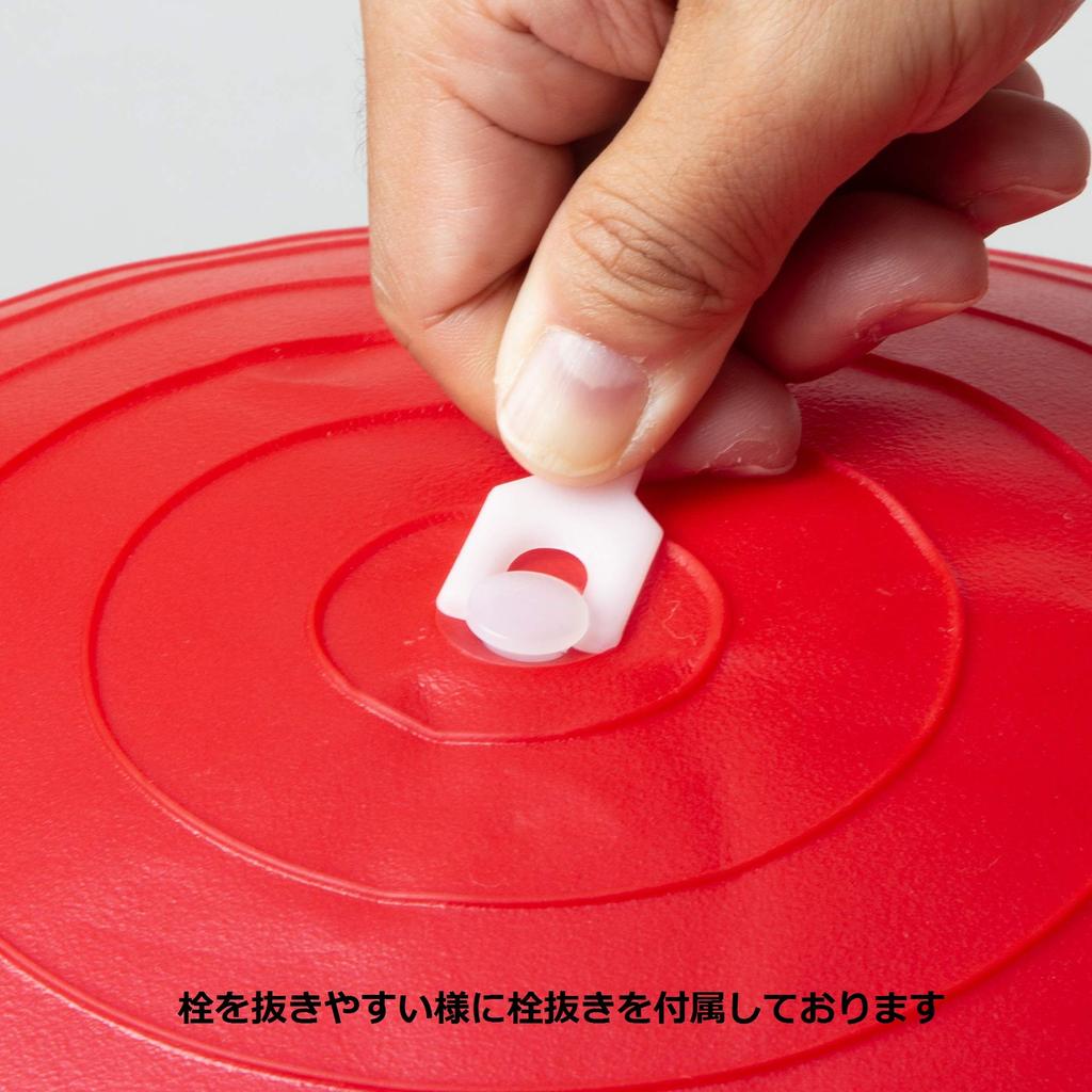 TOEI LIGHT Body Ball 55 H7261