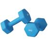 Set of 2 Hexagonal Dumbbells 2x6kg in Metal and Plastic with Non-Slip Grip, 22x10x10 cm, Light Blue