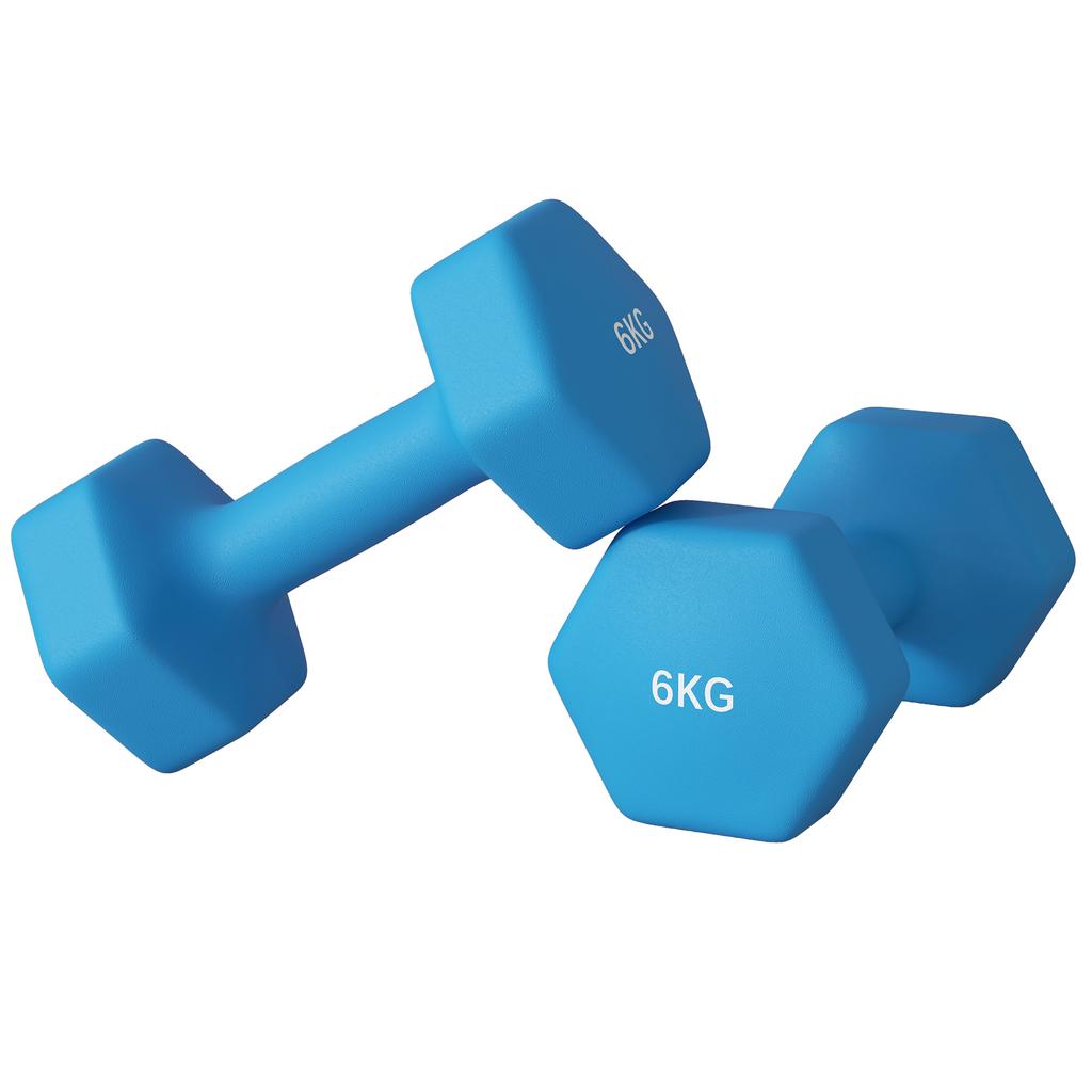 Set of 2 Hexagonal Dumbbells 2x6kg in Metal and Plastic with Non-Slip Grip, 22x10x10 cm, Light Blue