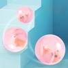 Pet Toy Hamster Rolling Ball Interactive Squeaky Toy For Cats And Kids