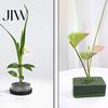 Flower Frog for Vases Floral Arrangement, Stainless Steel Pins with Stem Fixer Rubber Base, Arranging Tool Ikebana Moribana Crafting Supplies