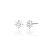 Polaris Silver Earrings Sa24A82P
