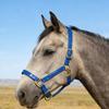 Smell Frees Equestrians Horse Headstall Bridle With Golden Buckles Smooth Soft Leather Surfaces For Effortless Cleaning
