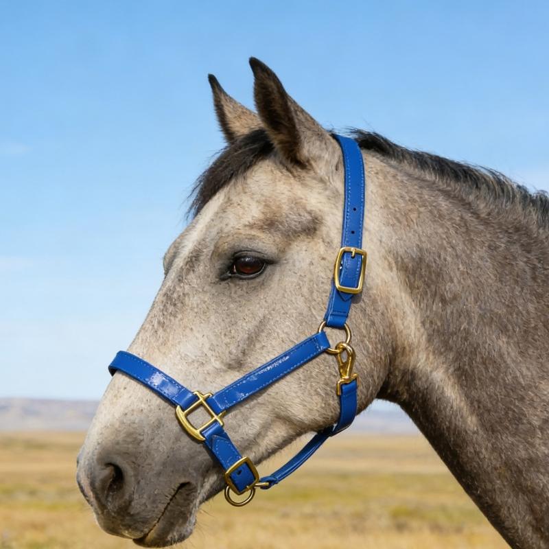 Smell Frees Equestrians Horse Headstall Bridle With Golden Buckles Smooth Soft Leather Surfaces For Effortless Cleaning