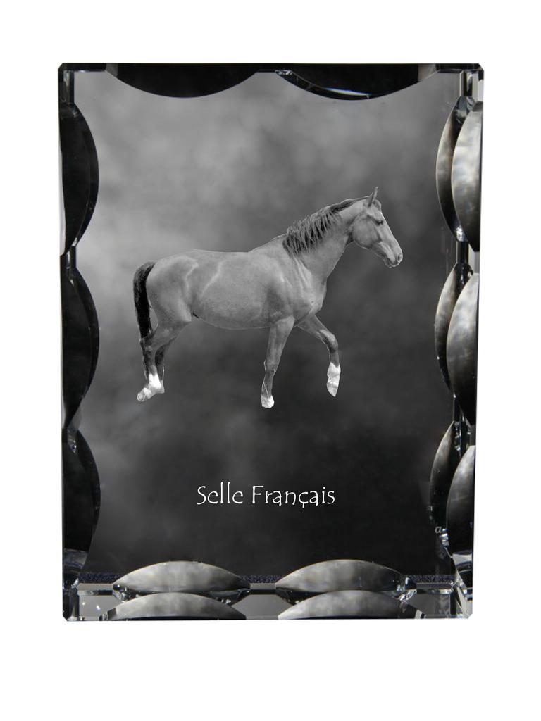 Selle Francais – Kryształ ze zdjęciem konia, szklana statuetka ze zdjęciem | Art-Dog
