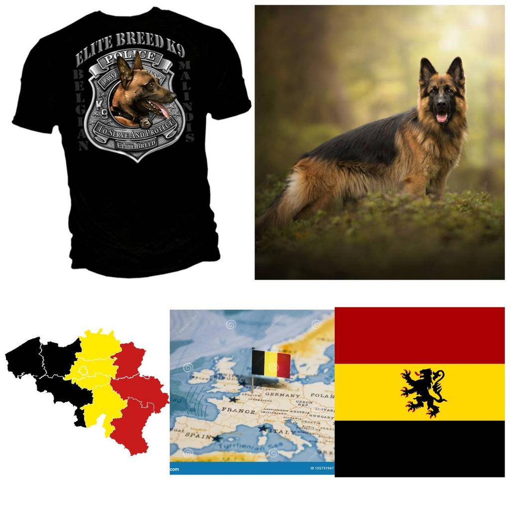 Belgium Police Malinois Dog K-9 Belgian Shepherd MMA Kick Boxing UFC Muay Thai T-Shirt Vintage Badge Retro 3D Print Men Women Short Sleeve Round Neck