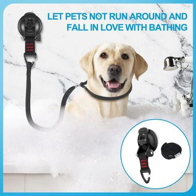 Собаки – Ошейники и поводки для собак