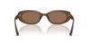 Солнцезащитные очки 0RB4441D OPAL BROWN 53 [Ray-Ban]