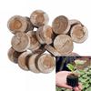Coconut Coir Peat Soil Nutrient Blocks - 30mm Non-woven Seedling Substrate, Lightweight & Durable Packaging