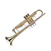 LADE Professional Bb Flat Brass Trumpet Instrument Set Kit Accessory (Gold)