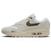 Air Max 1 'Ironstone' DZ4494-100