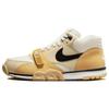 Air Trainer 1 Кокосовое молоко DV7201-100