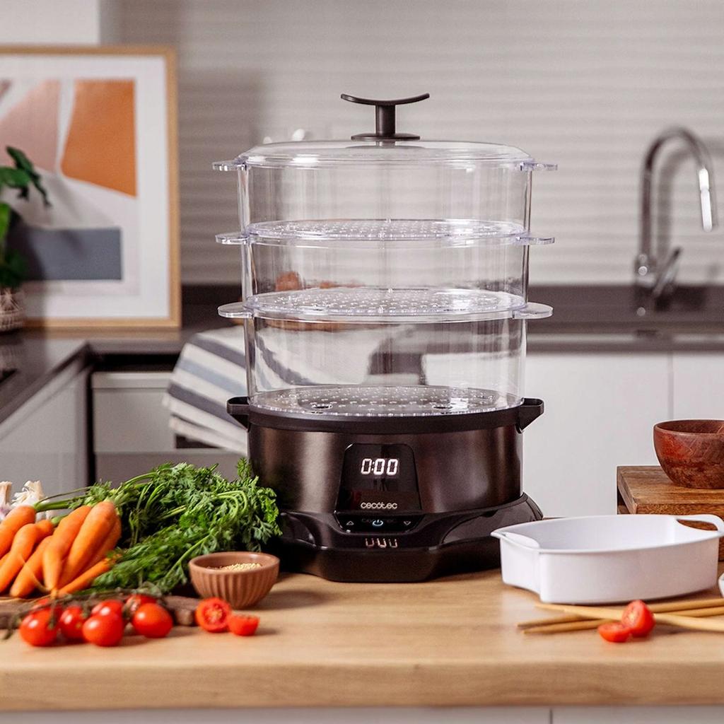 Cecotec Vapovita 3000 Pro Steamer Three Seconds
