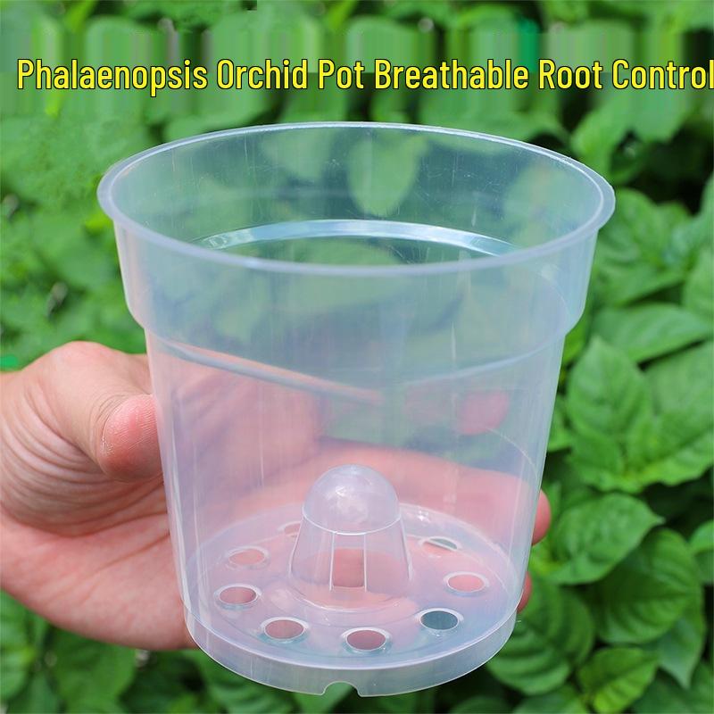 Transparent Orchid Seedling Pot with Drainage and Root Control