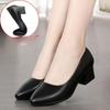 Одиночные женские туфли на среднем каблуке, весенние и летние рабочие туфли на толстом каблуке, женские черные нескользящие кожаные туфли