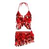 2 Pieces, Bra With Sequined Tassels, Fringed Top, Belly Dance Skirt, Carnival, Club, Costumes