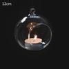 Round Bubble Hanging Clear Glass Terrarium Air Plant Tea Light Candle Holder