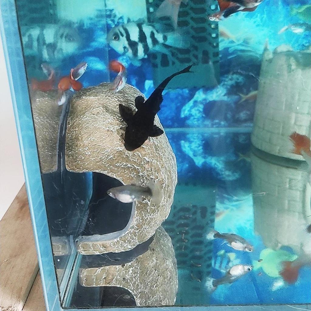 Aquarium Hideaway Rock Shelter, Artificial House Cave, Fish Tank Ornament for Desk Living Room