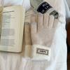 Thickened Plush Woolen Gloves Touchscreen Function Knitted Gloves New Fleece Mittens  Autumn Winter