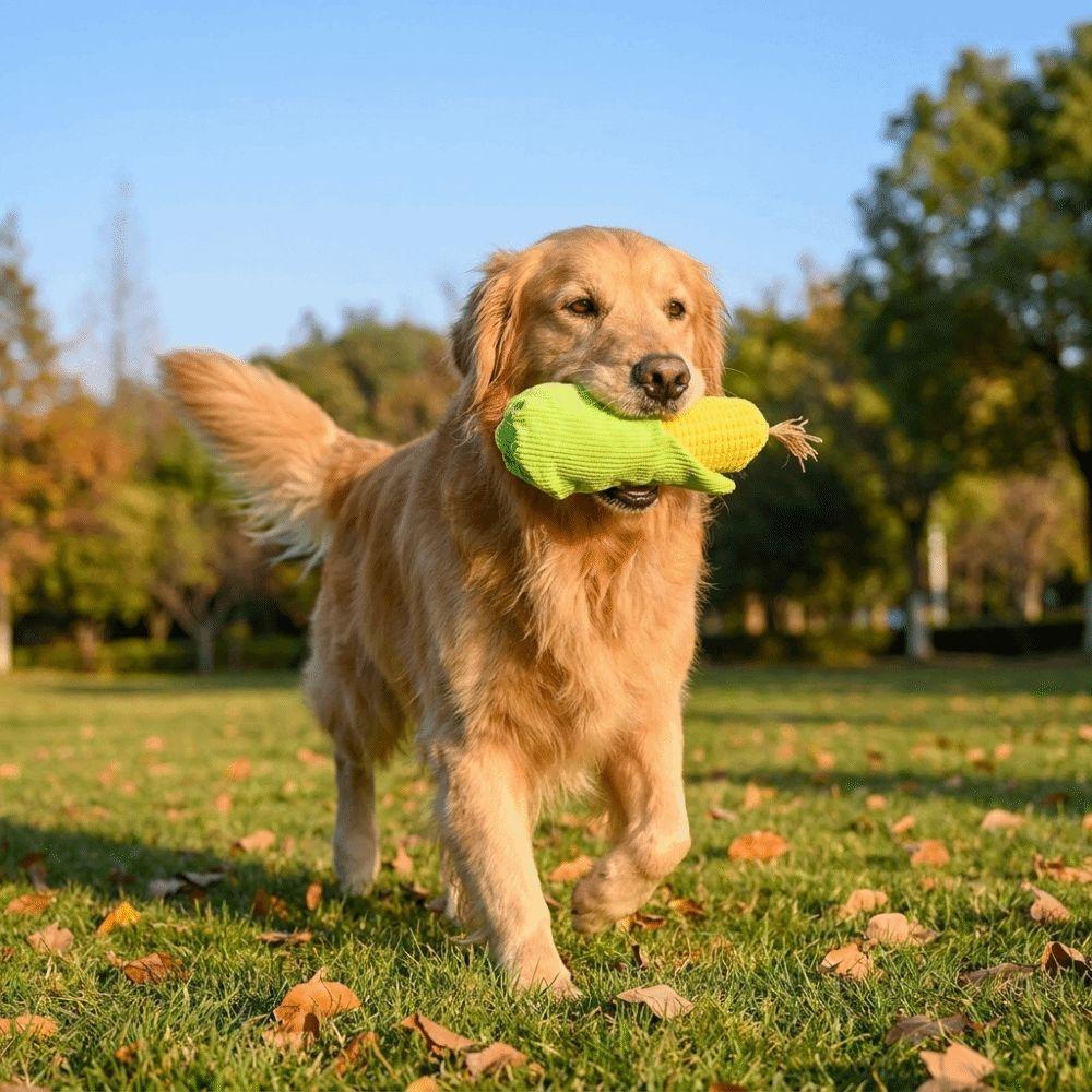 Bite-resistant Chew Squeak Toy Sounding Pet Training Toy Durable Dog Plush Chew Toy Teeth Cleaning