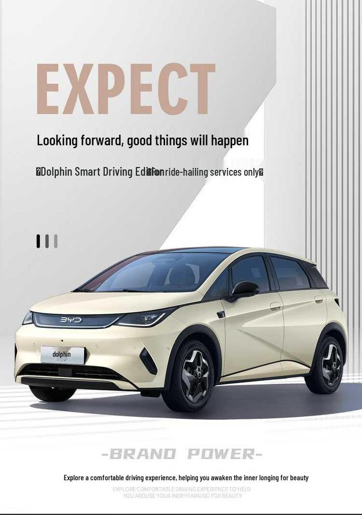 Всесезонные чехлы на сиденья, совместимые со всеми 25 моделями BYD Dolphin Smart Driving