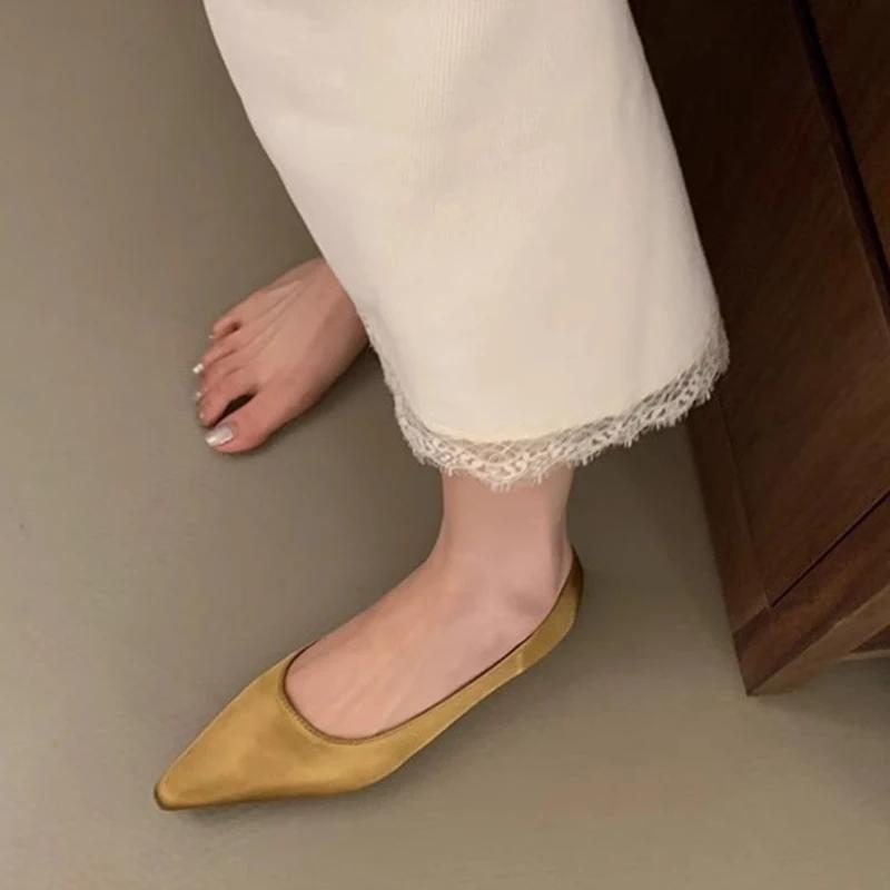 Pointed Toe Women Ballet Flats Shoe Fashion Shallow Slip On Spring Autumn Ladies Comfort Soft Sole Solid Casual Loafers Footwear
