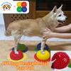 AVC Dog Hemispherical Paw Pad Trainer Balance Correction Muscle Recovery For Knee Patella Lumbar Spine Pet Rehabilitation