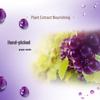 Sleek Grapeseed Extract Nourishing Hair Conditioner