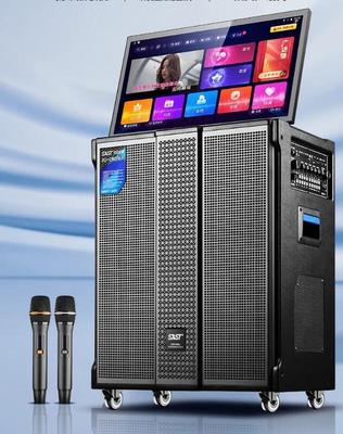 SAST SA-259F Портативная KTV акустическая система с 26-дюймовым поворотным экраном