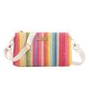 New Fashion Casual Daily Popular Rainbow Straw Woven Camera Bag Women's Bag Chain Bag Messenger Bag
