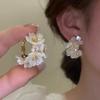 Earrings For Women Earring Jewelry Aretes Mujer Orecchini Donna Brincos Feminino Ohrringe Damen
