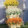Beautiful Faux Cemetery Flower Weather-resistant Long Stem Easy Care