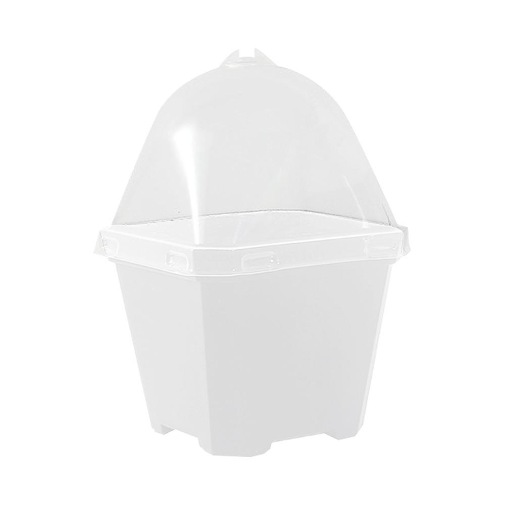 5 шт. Видимый чехол для рассады растений, горшок для выращивания растений в горшке с куполом и защитой от влаги, крытый сад