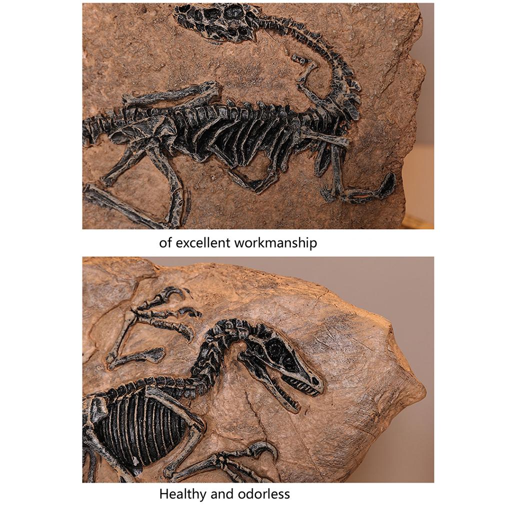 Handcrafts Dinosaur Fossils Model Simulated Dinosaur Skeleton Resins Statue Figurine for Home Decors and Educational Use