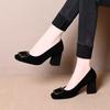 Autumn Fashion Square Buckle Velvet Single Shoes New Temperament Square Head Shallow Mouth Not Tired Feet Thick Heels High Heels Women