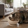 Suction Cups Silicone Pet Bowl Neck Protection Elevated Feeder Portable Dog Food Bowl  Pet Dining