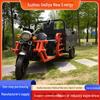 1.6m Electric Tricycle for Freight and Agricultural Use