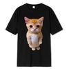 El Gato Meme Sad Crying Cat Munchkin Kitty Meme Trendy Graphic T-shirt Short Sleeve T-shirts Oversized Streetwear