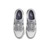 Nike Dunk Low Серый/Парусный FB9109-101