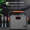 Newmine K510 Portable Outdoor Bluetooth Guitar & Vocal Speaker CN plug (adapter included)