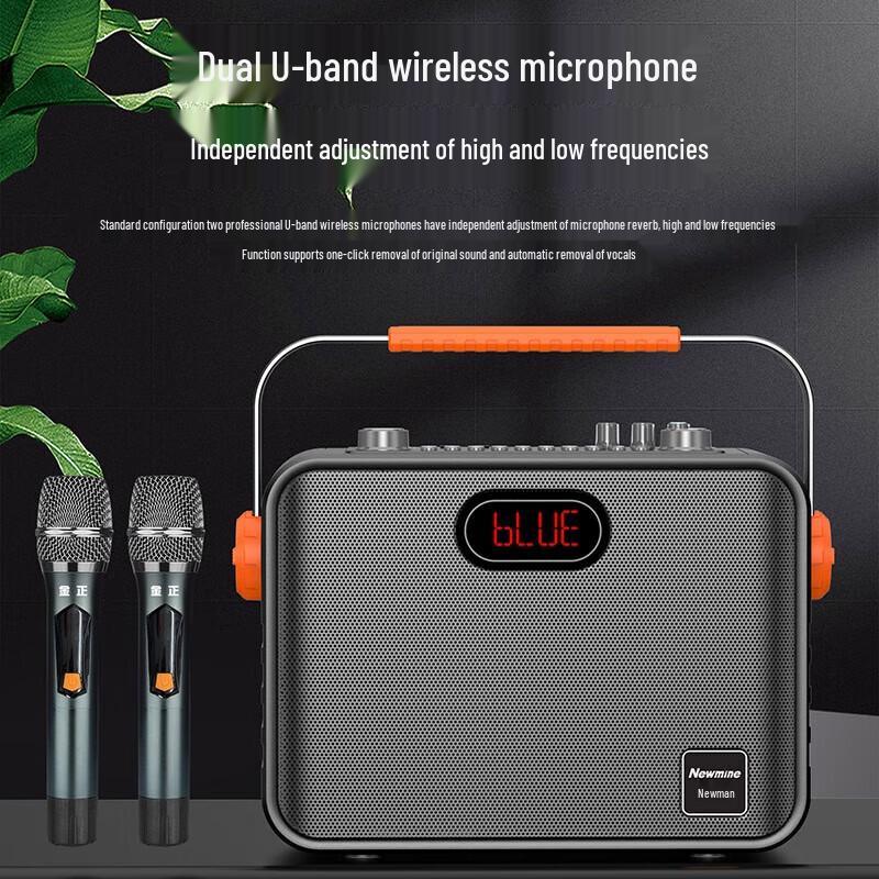 Newmine K510 Portable Outdoor Bluetooth Guitar & Vocal Speaker CN plug (adapter included)